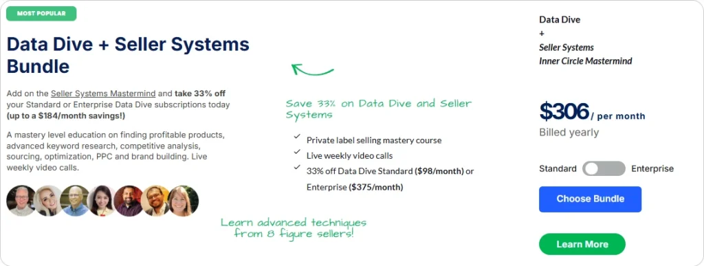 Data Dive + Seller Systems Bundle